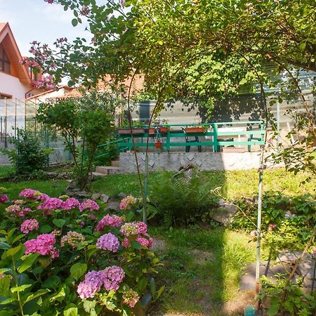Barok Appart Braşov Exterior foto
